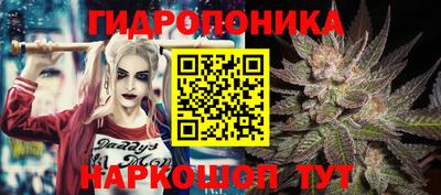 метадон Новозыбков
