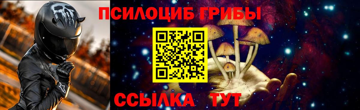 Псилоцибиновые грибы GOLDEN TEACHER Краснокамск